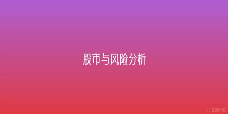 股市与风险分析